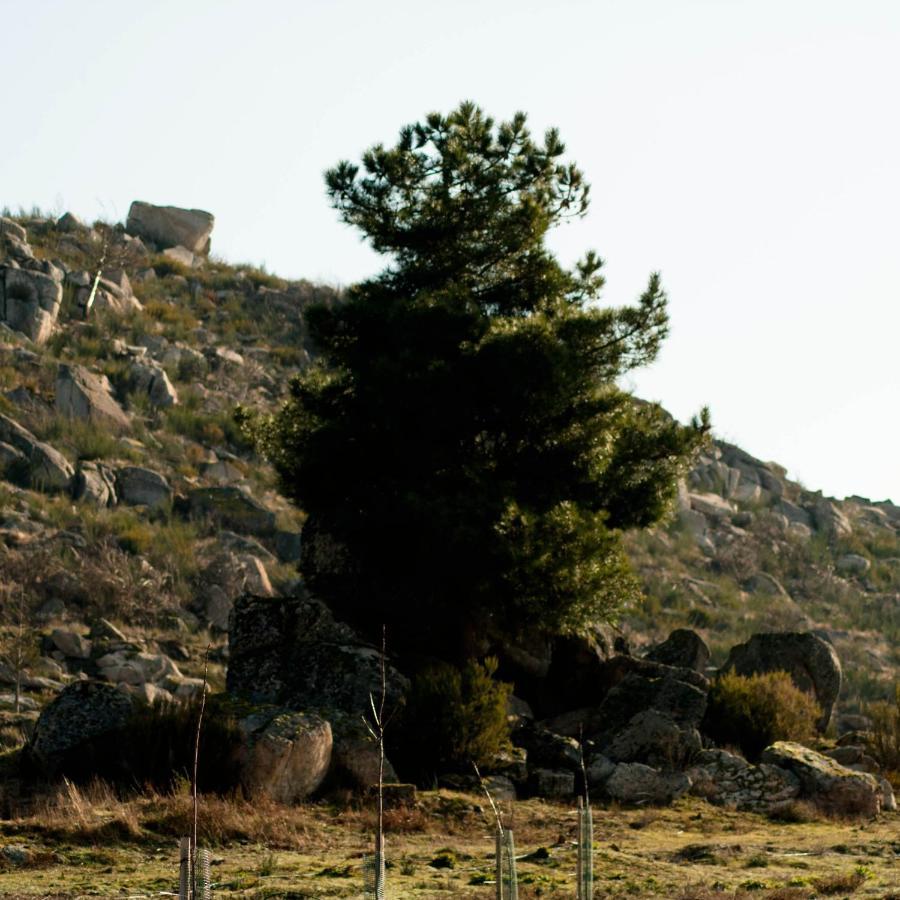 Quinta Do Chaozinho Villa Alijó Екстериор снимка