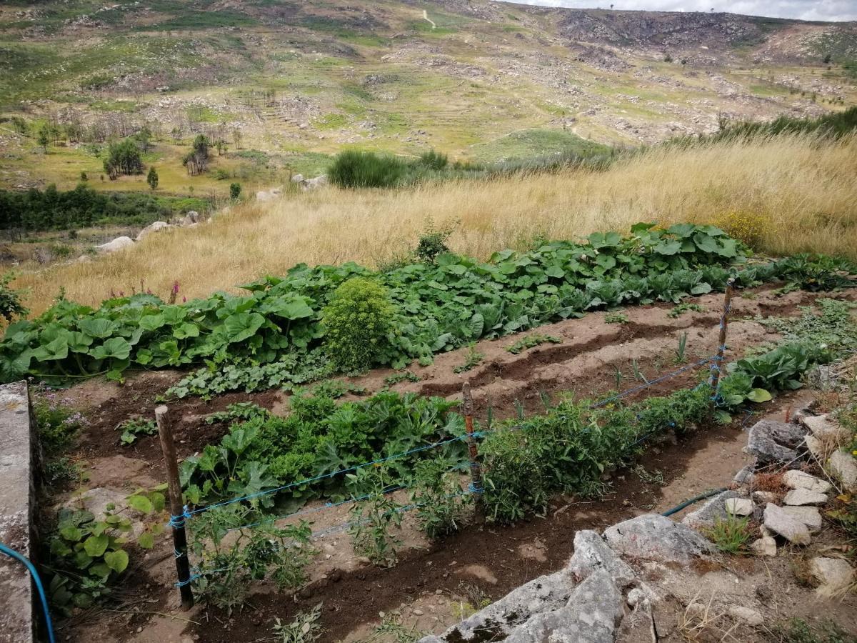 Quinta Do Chaozinho Villa Alijó Екстериор снимка